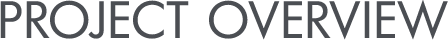Project Overview