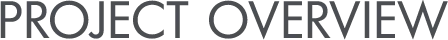 Project Overview